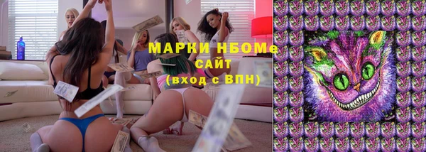 прущий лед Алзамай