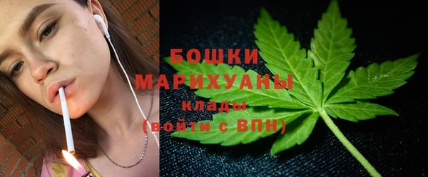 прущий лед Алзамай