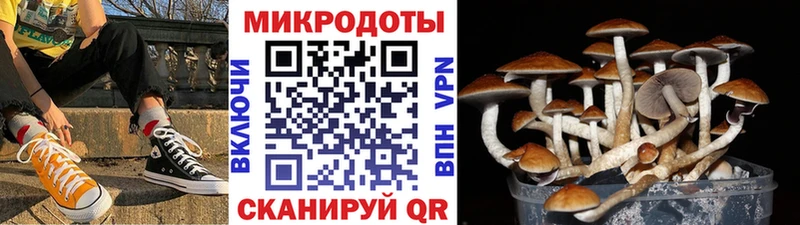 Галлюциногенные грибы ЛСД  MEGA как войти  Курск 