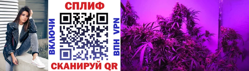 Конопля Ganja Курск